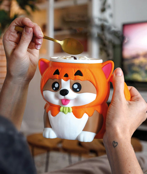 Corgi - Kevin